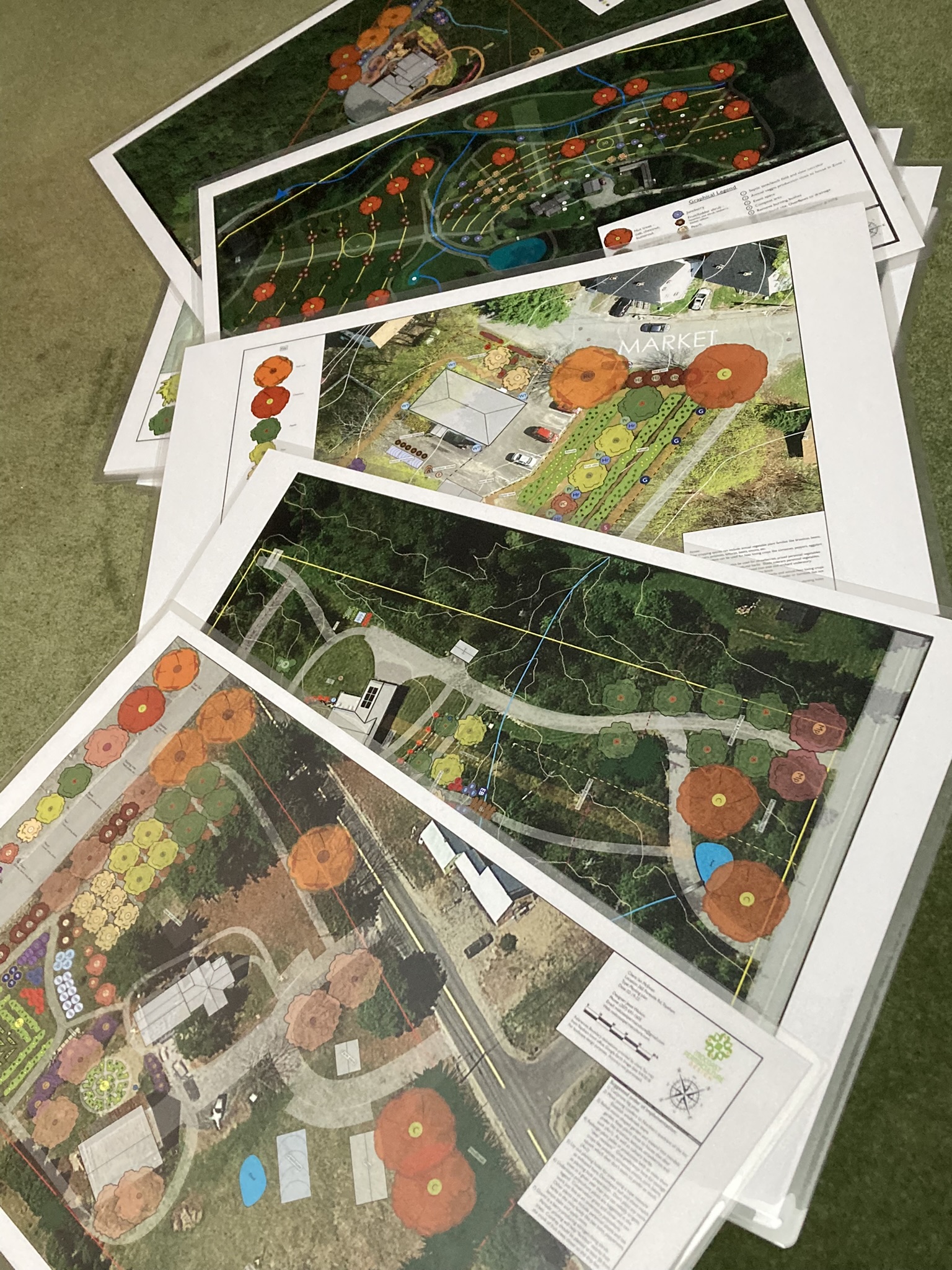 Online Permaculture Design Intensive Maine Ecological Design School